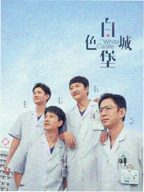 硬字幕与软字幕术语示意配图